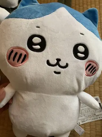 하치와레/시사 봉제 인형