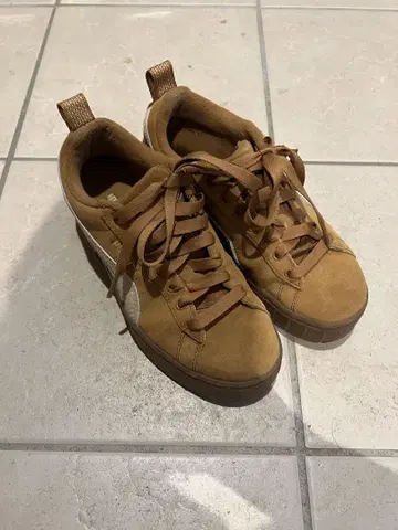 Puma 메이즈 웨지 SD 브라운