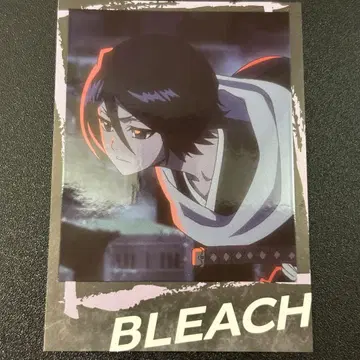 BLEACH 블리치 인스턴트 사진풍 브로마이드 후목 루키아