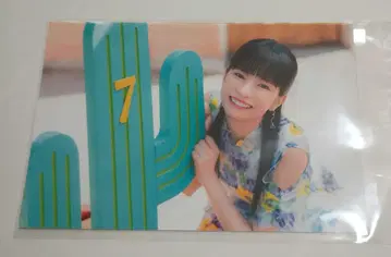 22/7 나나니지 시조 '당신이 아니면 안 돼' 선인장 엽서