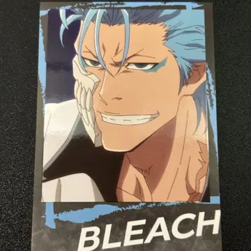 BLEACH 블리치 인스턴트 사진풍 브로마이드 그리무조