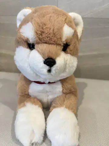 무릎 강아지 시바견 S 봉제 인형 선레몬