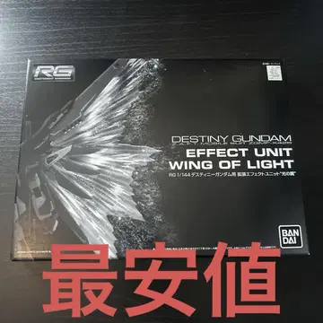 RG 1/144 데스티니 빛의 날개 미개봉 새상품