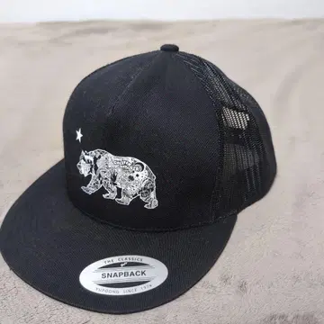 standard california / the classics cap
