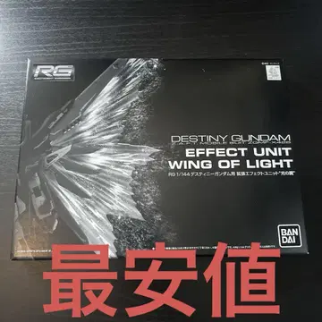 RG 데스티니 건담 빛의 날개 미개봉 새상품