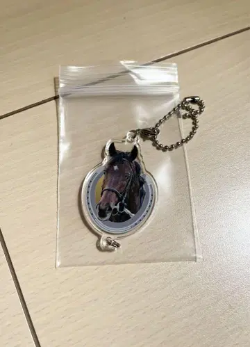 드림 져니 이어지는 아크릴 참 스테이 골드
