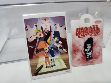 NARUTO -나루토- 배지 세트