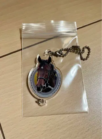 드림 저니 연결 아크릴 참 스테이 골드 일족