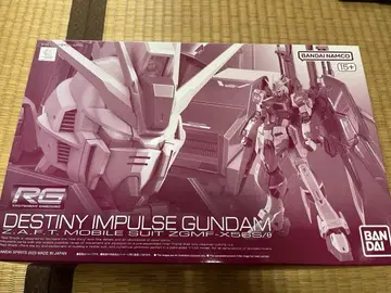 RG 1/144 데스티니 임펄스 건담