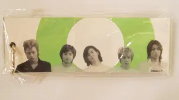 아라시 피칸치 단어장형 팜플렛