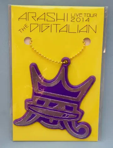 아라시 14주년 THE DIGITALIAN 리플렉터