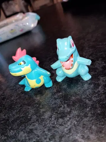 포켓몬 와니노코