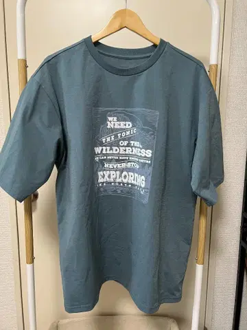 THE NORTH FACE XL 티셔츠 그래픽 프린트 블루