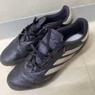 COPA 퓨어 2 ERITE HG