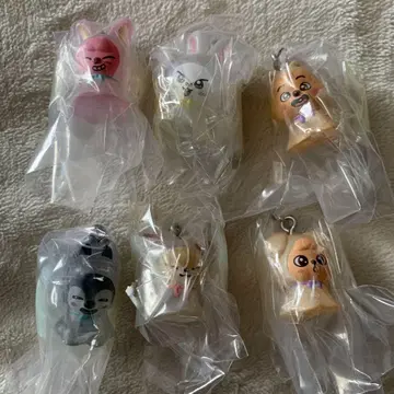 skzoo 메지루시 액세서리 6종