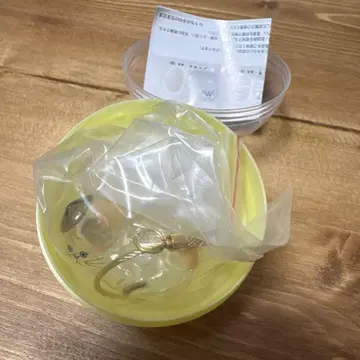 우리 아이 털뭉치 삼색 고양이 정품