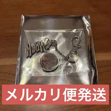히로아카 원화전 합금 참 컬렉션 올마이트