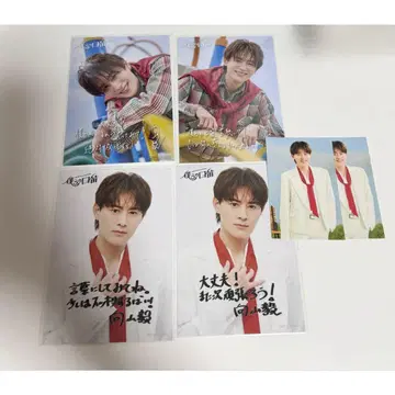 무카야마 타케시 브로마이드 트레이딩 카드 세트