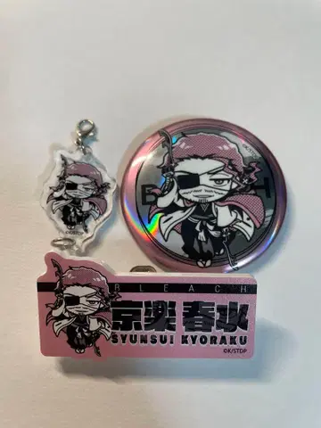 BLEACH 미니 참 캔뱃지 이름 배지 3종 세트 교가쿠 슈스이