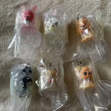 skzoo 메지루시 액세서리 6종