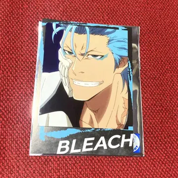 BLEACH 978 인스턴트 사진풍 브로마이드 그림죠