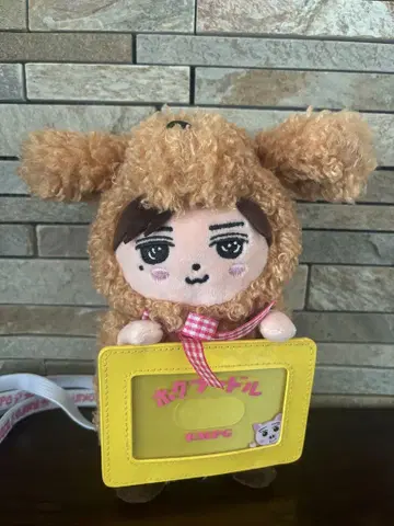 요시노 호쿠토 호쿠푸들