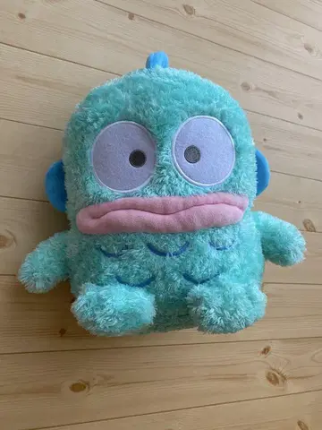 한교동 봉제 인형