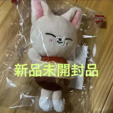 스키즈 skzoo 백 참 푸딩 포키니 아이엔 I.N