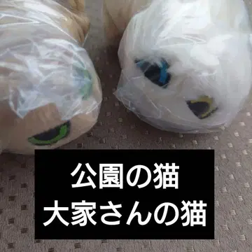 낯을 가리는 고양이 봉제 인형 공원의 고양이 집주인 고양이 가챠 1