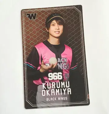 액터스 리그 Baseball 오카미야 레이무