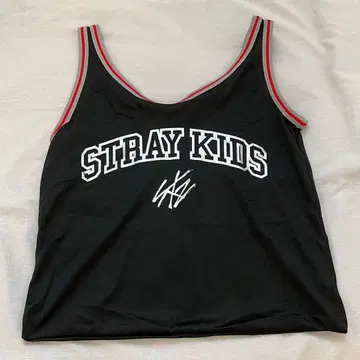 Stray Kids 스키즈 dominATE 에코파 업그레이드 혜택 백