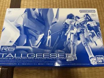 RG 톨기스 III 1/144