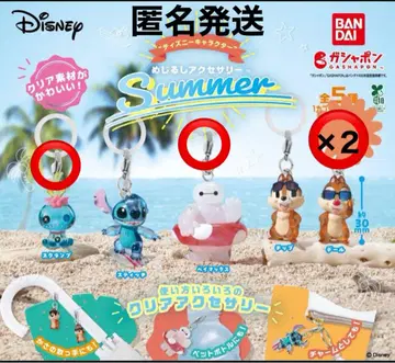 디즈니 캐릭터 메지루시 액세서리 Summer 베이맥스