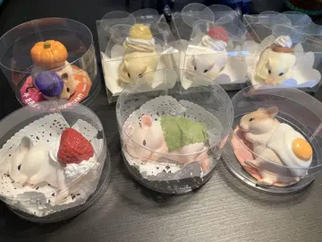 hamuco. 햄스터 피규어