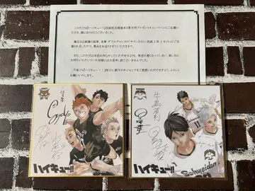 하이큐 완결 기념 더블 찬스 사인 포함 미니 색지
