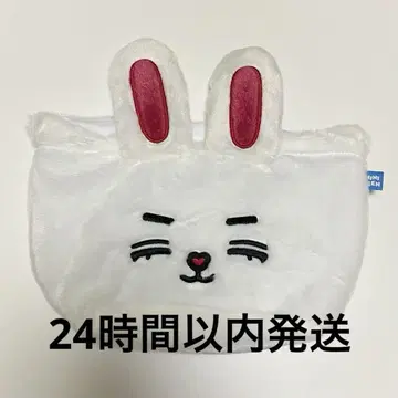 SEVENTEEN MINITEEN 파우치 에스쿱스