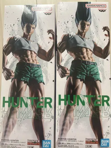 HUNTER x HUNTER 곤 피규어