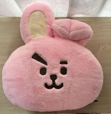 BTS 쿠키 쿠션 봉제 인형