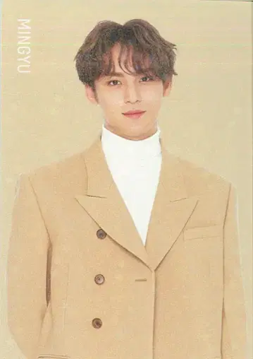 SEVENTEEN MINGYU 2020 WINTER TO CARAT 24