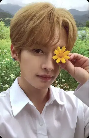 StrayKids NOEASY LeeKnow 트레이딩 카드 꽃