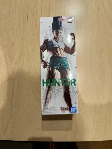 헌터x헌터 곤 프리크스 피규어