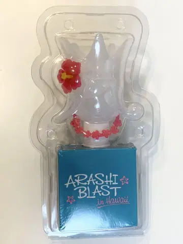 ARASHI BLAST in Hawaii 응원봉