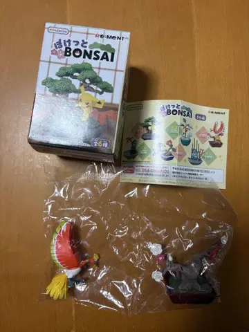 포켓 보사이 호우오우