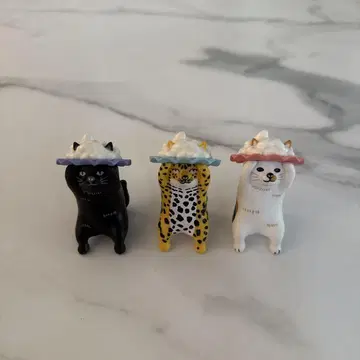 샴푸 캣 3마리