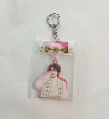 초특급 하루 에비라이 아크링 키링