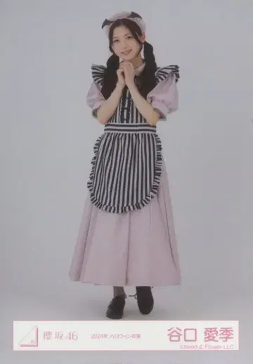 사쿠라자카46 3기생 라이브 타니구치 아이리 2024년 할로윈 의상 히키