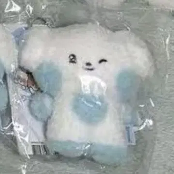 미개봉 zeroni gyunini 봉제 인형 gyunini zb1 키링
