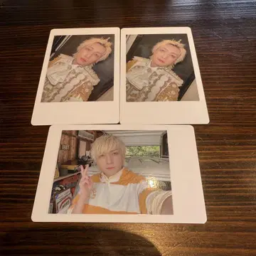 팬더드래곤 요우타 하피카
