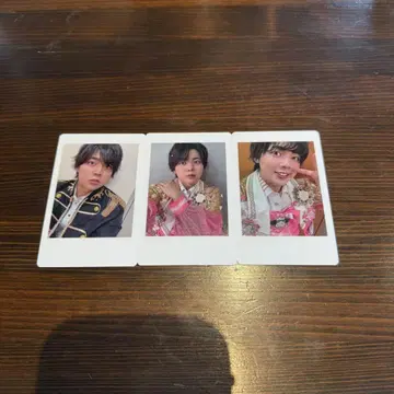 팬더 드래곤 나기 하피카