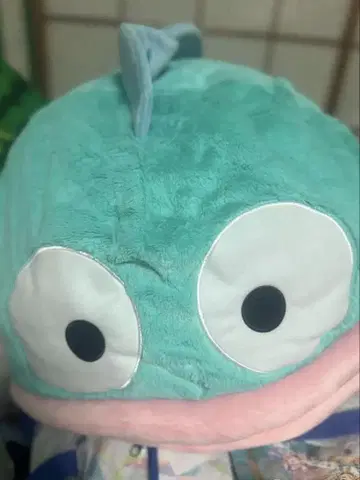 한교동 봉제 인형